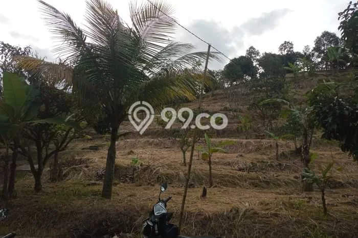 Kavling Tanah Dijual di Leuwisadeng Bogor Spesifikasi 600000m2 Kavling Tanah Dijual di Leuwisadeng Bogor Spesifikasi 600000m2