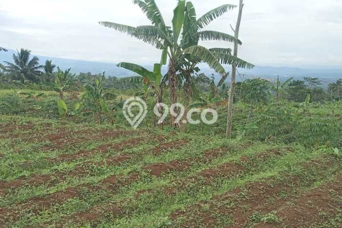 Tanah Kavling untuk Dijual di Parakan Salak Sukabumi 130000m2 Tanah Kavling untuk Dijual di Parakan Salak Sukabumi 130000m2