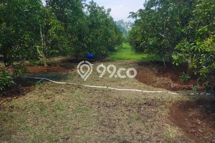 Untuk Dijual Tanah di Parakan Salak Sukabumi Luas 120000m2 SHM Untuk Dijual Tanah di Parakan Salak Sukabumi Luas 120000m2 SHM