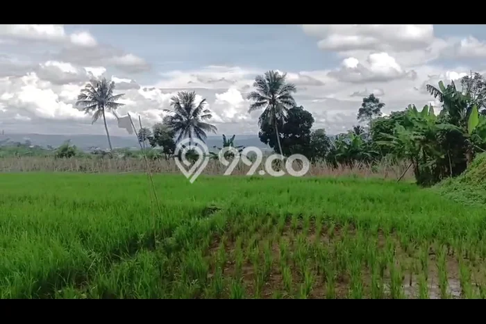 Untuk Dijual Tanah di Cidahu Sukabumi Luas 6000m2 AJB Untuk Dijual Tanah di Cidahu Sukabumi Luas 6000m2 AJB