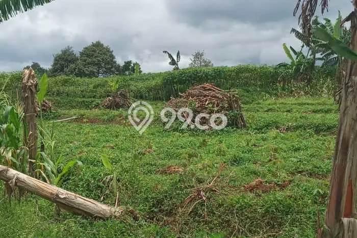 Tanah Kavling untuk Dijual di Parakan Salak Sukabumi 130000m2 Tanah Kavling untuk Dijual di Parakan Salak Sukabumi 130000m2
