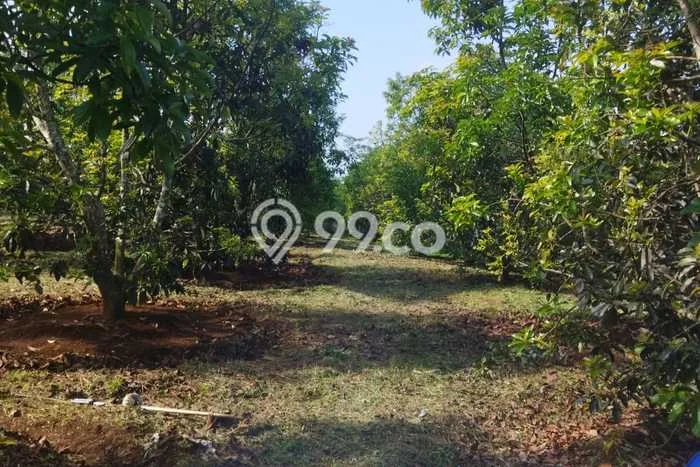 Untuk Dijual Tanah di Parakan Salak Sukabumi Luas 120000m2 SHM Untuk Dijual Tanah di Parakan Salak Sukabumi Luas 120000m2 SHM