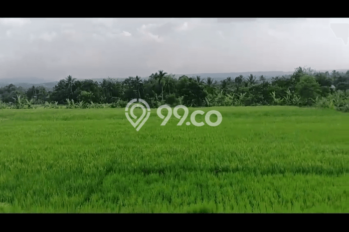 Lahan untuk Dijual Lokasi Cidahu, Sukabumi Luas 14000m2 AJB Lahan untuk Dijual Lokasi Cidahu, Sukabumi Luas 14000m2 AJB