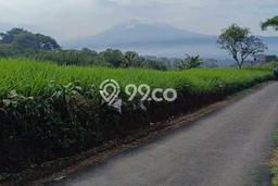 Tanah Strategis Dijual di Cicurug Sukabumi 1500m2 Tanah Strategis Dijual di Cicurug Sukabumi 1500m2