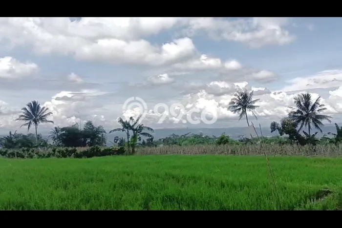 Untuk Dijual Tanah di Cidahu Sukabumi Luas 6000m2 AJB Untuk Dijual Tanah di Cidahu Sukabumi Luas 6000m2 AJB