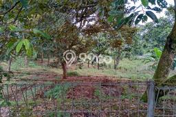 Tanah Dijual Lokasi Megamendung Bogor SHM Tanah Dijual Lokasi Megamendung Bogor SHM