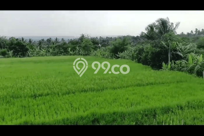 Lahan untuk Dijual Lokasi Cidahu, Sukabumi Luas 14000m2 AJB Lahan untuk Dijual Lokasi Cidahu, Sukabumi Luas 14000m2 AJB