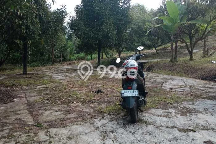 Kavling Tanah Dijual di Leuwisadeng Bogor Spesifikasi 600000m2 Kavling Tanah Dijual di Leuwisadeng Bogor Spesifikasi 600000m2