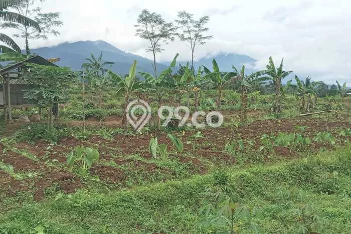 Tanah Kavling untuk Dijual di Parakan Salak Sukabumi 130000m2 Tanah Kavling untuk Dijual di Parakan Salak Sukabumi 130000m2