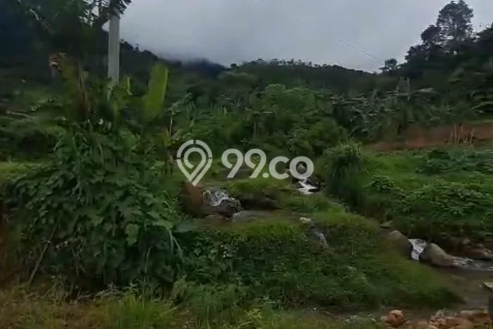 Lahan Kosong Dijual di Sukamakmur, Bogor, Luas 20000m2 Area Strategis Lahan Kosong Dijual di Sukamakmur, Bogor, Luas 20000m2 Area Strategis
