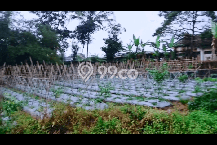 Lahan Dijual Lokasi Parakan Salak, Sukabumi dengan Luas Tanah 3000m2 dan Status SHM Lahan Dijual Lokasi Parakan Salak, Sukabumi dengan Luas Tanah 3000m2 dan Status SHM