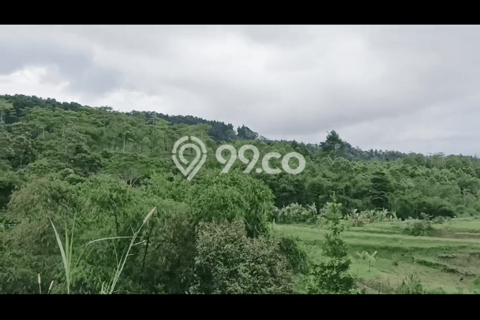 Tanah Dijual Lokasi Cicurug Sukabumi AJB Tanah Dijual Lokasi Cicurug Sukabumi AJB