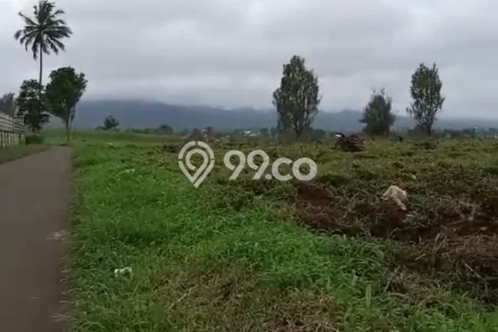 Jarang Ada! Tanah di Parakan Salak Punya Luas 45000m2 SHM Jarang Ada! Tanah di Parakan Salak Punya Luas 45000m2 SHM