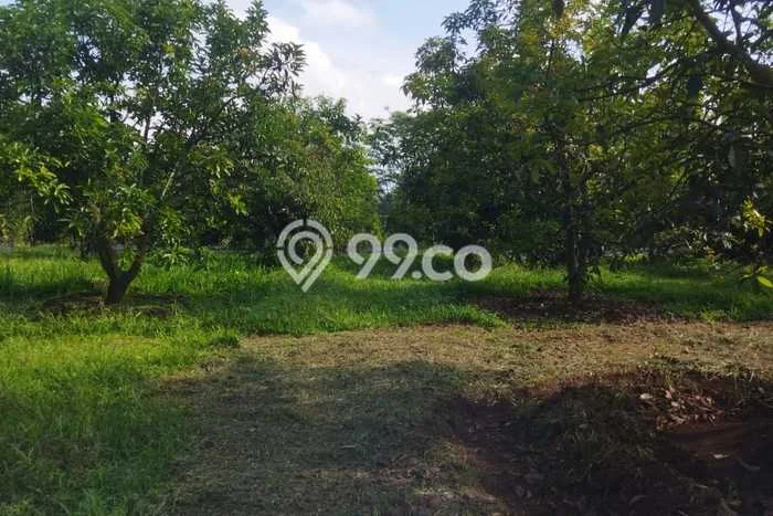 Untuk Dijual Tanah di Parakan Salak Sukabumi Luas 120000m2 SHM Untuk Dijual Tanah di Parakan Salak Sukabumi Luas 120000m2 SHM