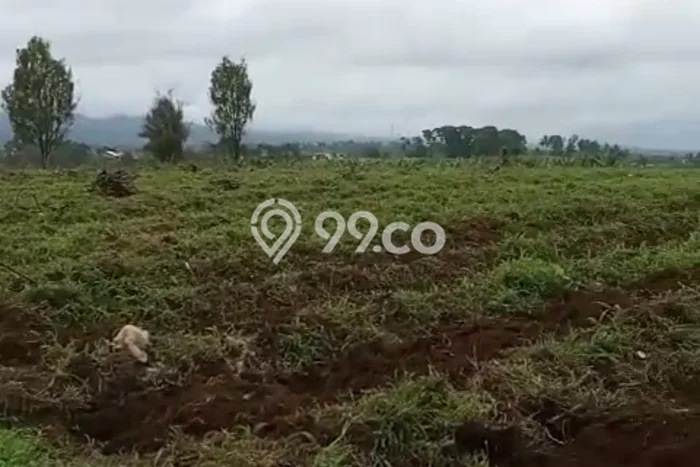 Jarang Ada! Tanah di Parakan Salak Punya Luas 45000m2 SHM Jarang Ada! Tanah di Parakan Salak Punya Luas 45000m2 SHM