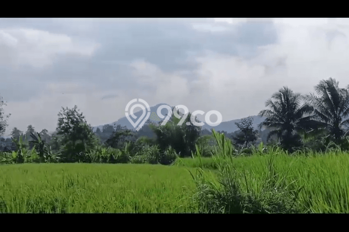 Lahan untuk Dijual Lokasi Cidahu, Sukabumi Luas 14000m2 AJB Lahan untuk Dijual Lokasi Cidahu, Sukabumi Luas 14000m2 AJB