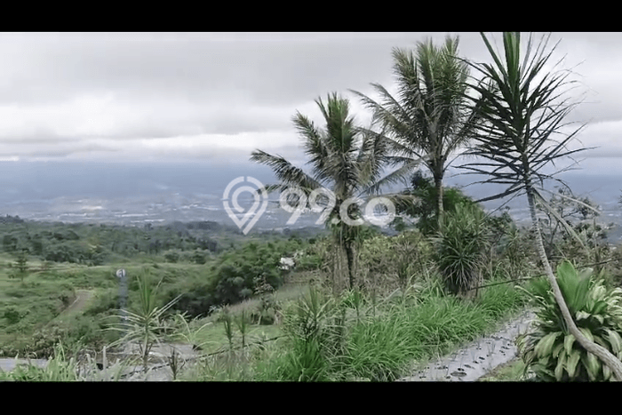 Tanah Dijual Lokasi Cicurug Sukabumi AJB Tanah Dijual Lokasi Cicurug Sukabumi AJB