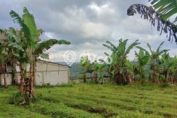 Kavling Tanah Dijual di Ciambar, Sukabumi, Luas 15000m2 Area Strategis Kavling Tanah Dijual di Ciambar, Sukabumi, Luas 15000m2 Area Strategis