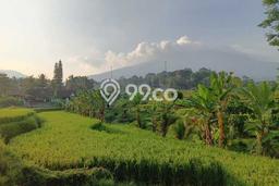 Dijual Tanah di Cicurug Sukabumi Luas 50000m2 SHM Dijual Tanah di Cicurug Sukabumi Luas 50000m2 SHM