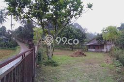 Tanah untuk Dijual di Cigombong Bogor Luas 1600m2 Tanah untuk Dijual di Cigombong Bogor Luas 1600m2