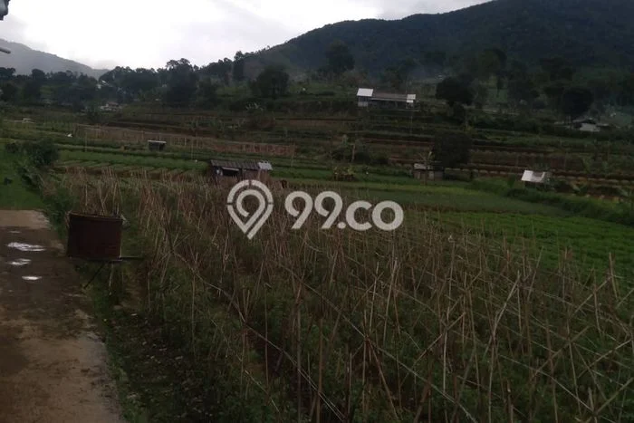 Tanah Kavling di Cipanas Dijual dengan Luas 60000m2 Tanah Kavling di Cipanas Dijual dengan Luas 60000m2