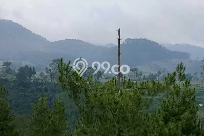 Dijual Tanah di Lembang Bandung Barat Luas 130000m2 SHM Dijual Tanah di Lembang Bandung Barat Luas 130000m2 SHM