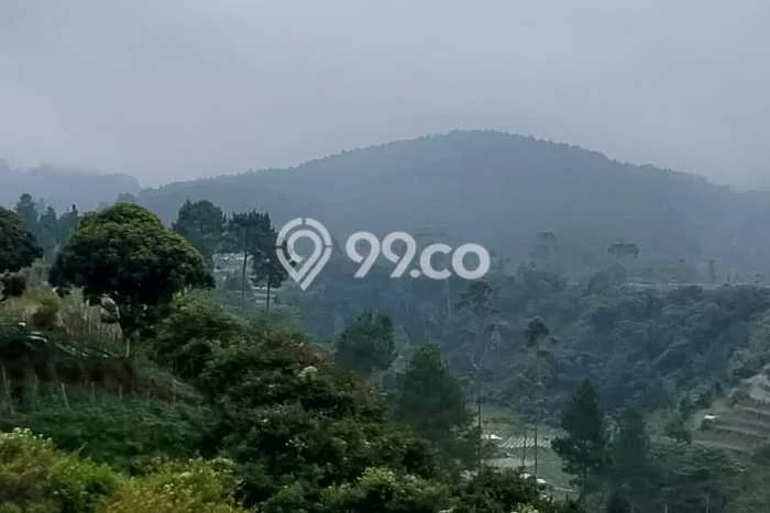 Dijual Tanah di Lembang Bandung Barat Luas 130000m2 SHM Dijual Tanah di Lembang Bandung Barat Luas 130000m2 SHM