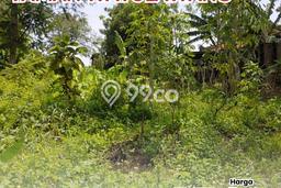 Tanah Kavling untuk Dijual di Gajah Mungkur Semarang 746m2 Tanah Kavling untuk Dijual di Gajah Mungkur Semarang 746m2