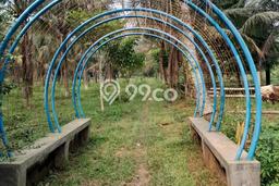 Tanah Dijual Lokasi Bogor Barat, Bogor Luas 20060m2 Legalitas Aman Tanah Dijual Lokasi Bogor Barat, Bogor Luas 20060m2 Legalitas Aman