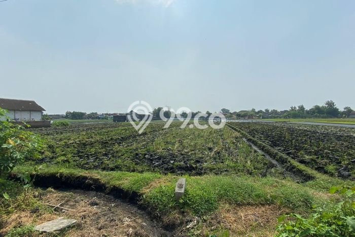 Tanah Dijual Lokasi Tasikmadu, Karanganyar Luas 3293m2 Legalitas Aman Tanah Dijual Lokasi Tasikmadu, Karanganyar Luas 3293m2 Legalitas Aman