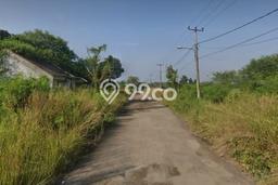 Tanah Dijual Lokasi Serang, Serang dengan Luas Tanah 10000m2 dan Status - Tanah Dijual Lokasi Serang, Serang dengan Luas Tanah 10000m2 dan Status -