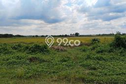 Tanah Dijual di Bekasi Seluas 12744m2 Strategis Tanah Dijual di Bekasi Seluas 12744m2 Strategis
