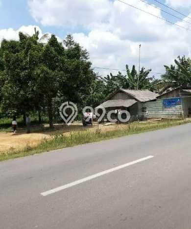 Tanah Komersial Kawasan Simpang Katis, Luas 31976m², Lokasi Strategis Tanah Komersial Kawasan Simpang Katis, Luas 31976m², Lokasi Strategis