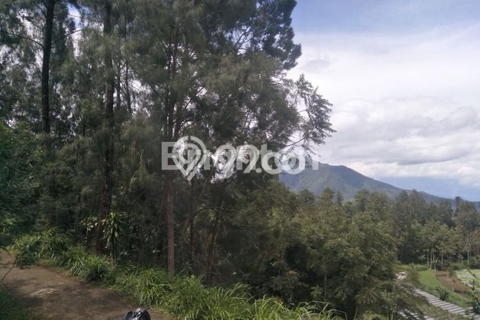 Lahan Strategis di Getasan Dijual dengan Luas 230m2 Lahan Strategis di Getasan Dijual dengan Luas 230m2