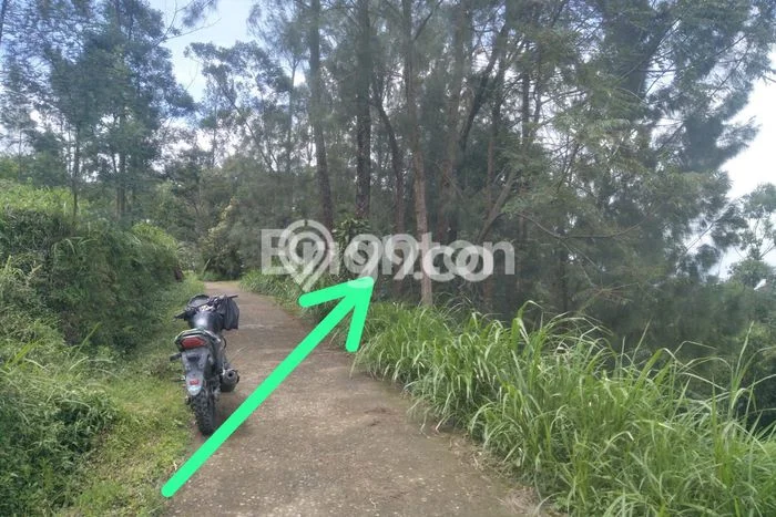 Lahan Strategis di Getasan Dijual dengan Luas 230m2 Lahan Strategis di Getasan Dijual dengan Luas 230m2