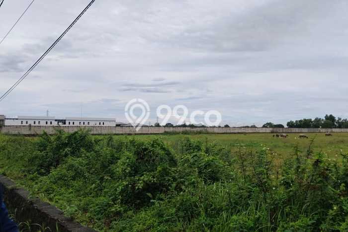 Untuk Dijual Tanah di Jawilan Serang Luas 500m2 SHM Untuk Dijual Tanah di Jawilan Serang Luas 500m2 SHM