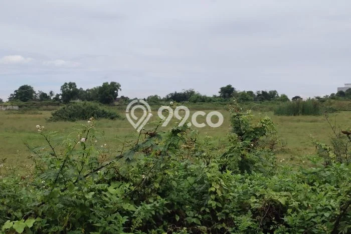Tanah Dijual Lokasi Jawilan Serang SHM Tanah Dijual Lokasi Jawilan Serang SHM