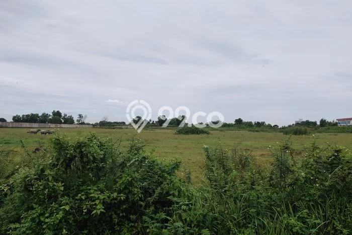 Tanah Dijual Lokasi Jawilan Serang SHM Tanah Dijual Lokasi Jawilan Serang SHM