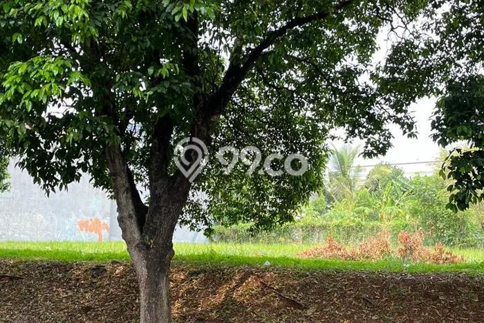 Tanah Kavling Dijual di Jakarta Selatan dengan Spesifikasi 660m2 Tanah Kavling Dijual di Jakarta Selatan dengan Spesifikasi 660m2