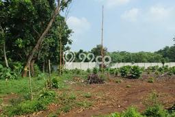 Jarang Ada! Tanah di Cisauk Punya Luas 5160m2 SHM Jarang Ada! Tanah di Cisauk Punya Luas 5160m2 SHM