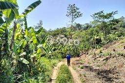 Tanah Kavling untuk Dijual di Cianjur Cianjur 5e+06m2 Tanah Kavling untuk Dijual di Cianjur Cianjur 5e+06m2