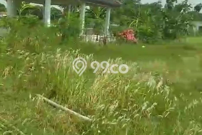 Tanah untuk Dijual di Adiwerna Tegal Luas 50000m2 Tanah untuk Dijual di Adiwerna Tegal Luas 50000m2