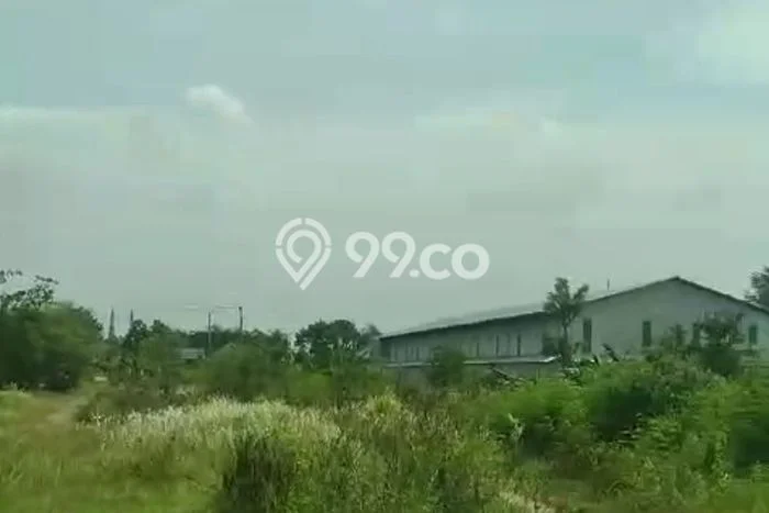 Tanah untuk Dijual di Adiwerna Tegal Luas 50000m2 Tanah untuk Dijual di Adiwerna Tegal Luas 50000m2