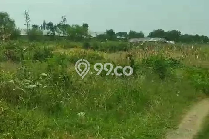 Tanah untuk Dijual di Adiwerna Tegal Luas 50000m2 Tanah untuk Dijual di Adiwerna Tegal Luas 50000m2