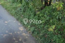 Lahan untuk Dijual di Tanjungsari Bogor Luas 6000m2 Lahan untuk Dijual di Tanjungsari Bogor Luas 6000m2