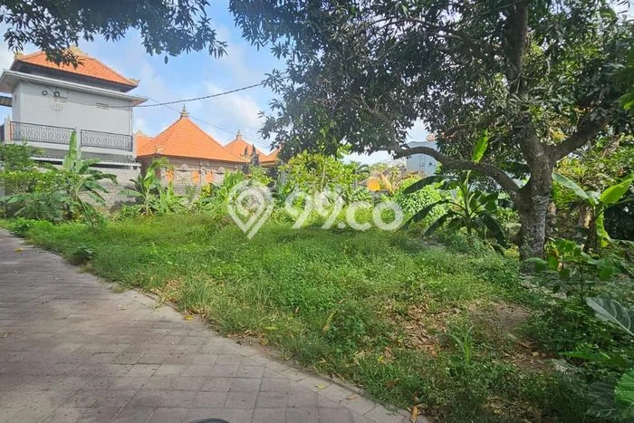 Lahan untuk Disewakan di Ungasan Badung - Lahan untuk Disewakan di Ungasan Badung -