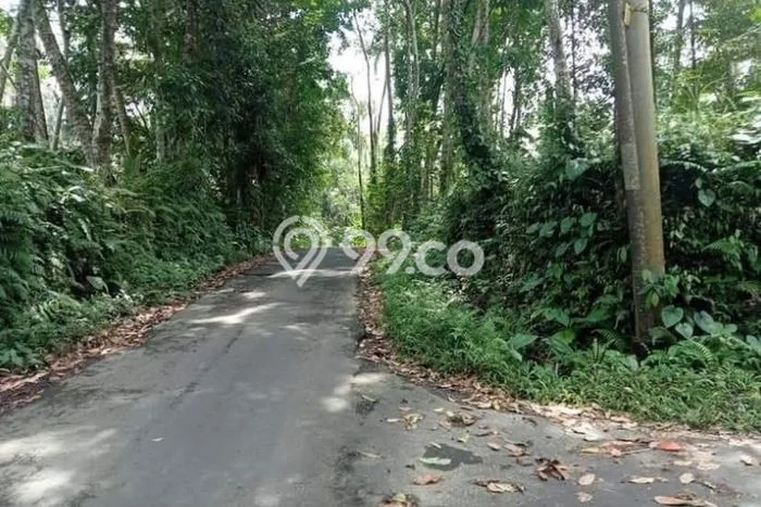 Tanah Kavling untuk Dijual di Payangan Gianyar 1450m2 Tanah Kavling untuk Dijual di Payangan Gianyar 1450m2