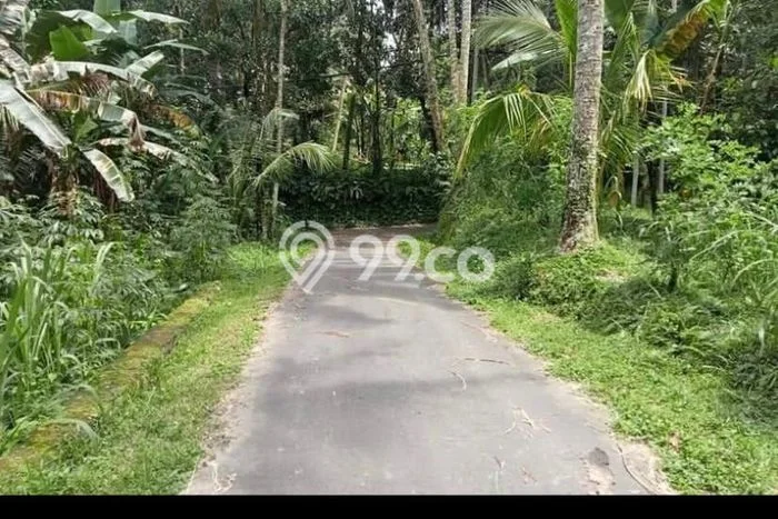 Tanah Kavling untuk Dijual di Payangan Gianyar 1450m2 Tanah Kavling untuk Dijual di Payangan Gianyar 1450m2