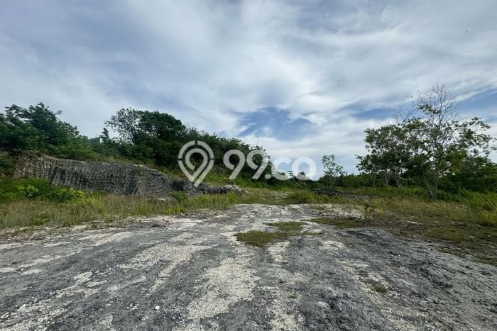 Tanah Kavling Dijual di Pecatu, Badung dengan Luas Tanah 5000m2 Tanah Kavling Dijual di Pecatu, Badung dengan Luas Tanah 5000m2