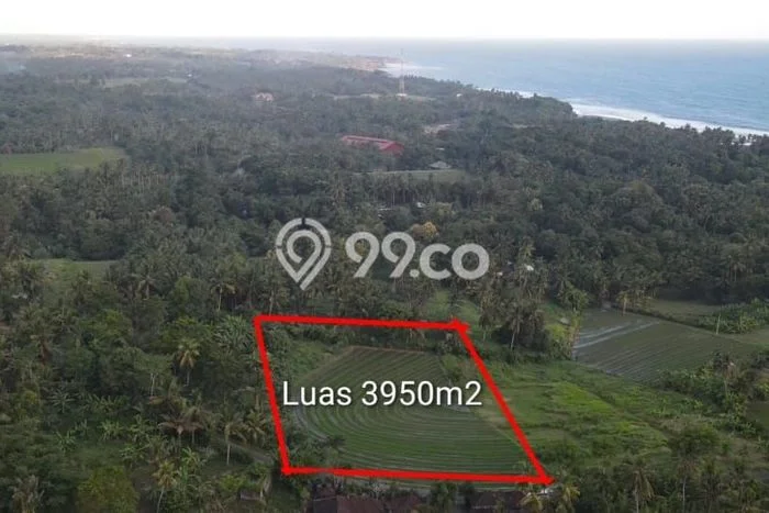 Tanah Dijual Lokasi Strategis di Tabanan dengan Luas 3950m2 Tanah Dijual Lokasi Strategis di Tabanan dengan Luas 3950m2
